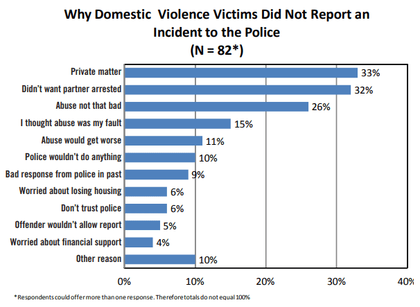 Why Domestic Violence Victims Did Not Report Incident to the Police in Minnesota