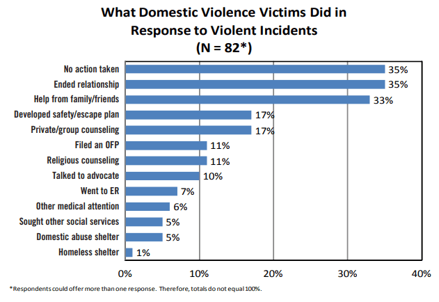 Why Domestic Violence Victims Did Report Incident to the Police in Minnesota