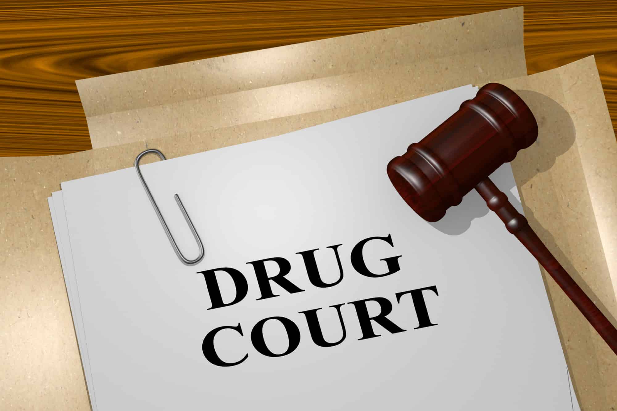Minnesota Drug Court Programs: Alternatives to Traditional Sentencing